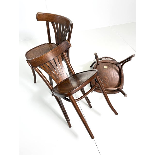 1970s Vintage Bentwood Fan Chairs from ZPM Radomsko, Poland, 1970s For Sale - Image 5 of 18