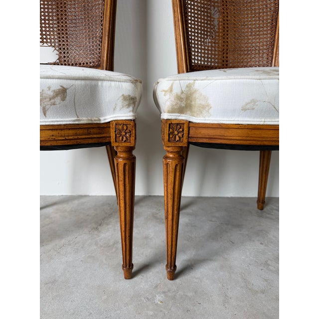 Vintage French Louis XVI Style Cane Back Dining Chairs – A Pair For Sale In Miami - Image 6 of 12