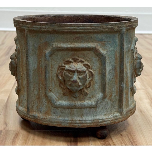 English Antique Cast Iron Lion Head Planter For Sale - Image 3 of 11