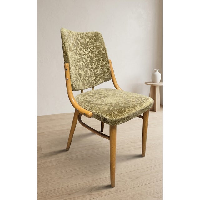 Bentwood Dining Chairs in Beechwood & Olive Velour from TON, Czechoslovakia, 1970s, Set of 4 For Sale - Image 6 of 9