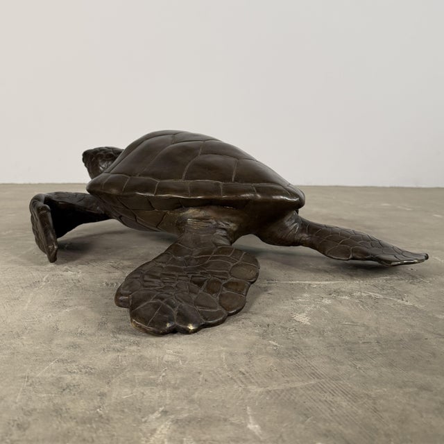 Large Bronze Sea Turtle Sculpture – 26” L For Sale - Image 13 of 14