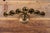 Late 19th Century Adjustable Brass Sabbath Candelabrum For Sale In Chicago - Image 6 of 15