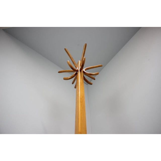 Brown Vintage Bentwood Coat Rack, Czechoslovakia, 1930s For Sale - Image 8 of 10