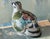 Late 20th Century Vintage Tonala Pottery Bird Figurine Folk Art Mexican For Sale - Image 5 of 10