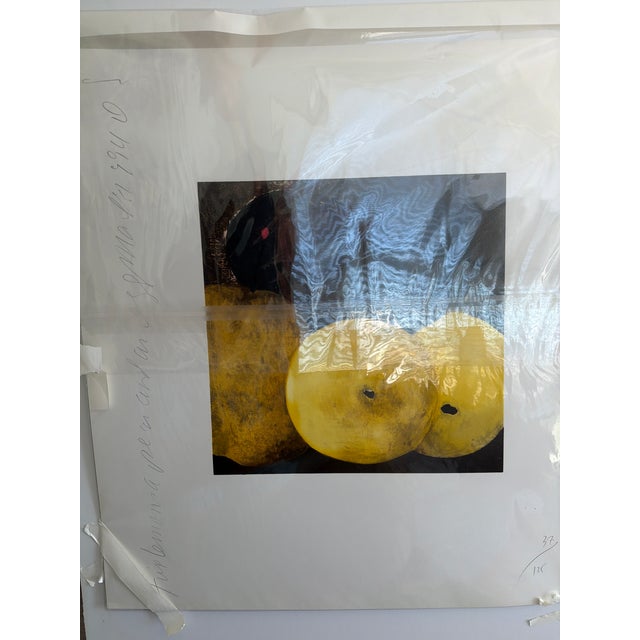 Paper 1992 Donald Sultan Signed Limited Edition Screenprint (32/125) – “Five Lemons, a Pear and Egg," For Sale - Image 7 of 7