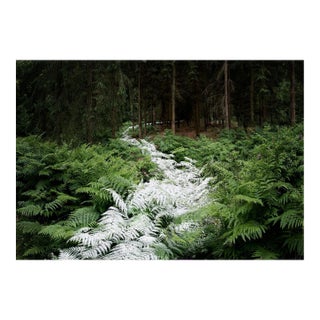 Ellie Davies, Knit One, Pearl One 2, 2011, Photograph For Sale