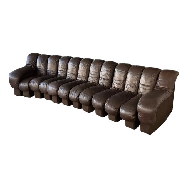 Attributed De Sede Ds600 Brown Leather Non-Stop Snake Sofa, 1970s For Sale