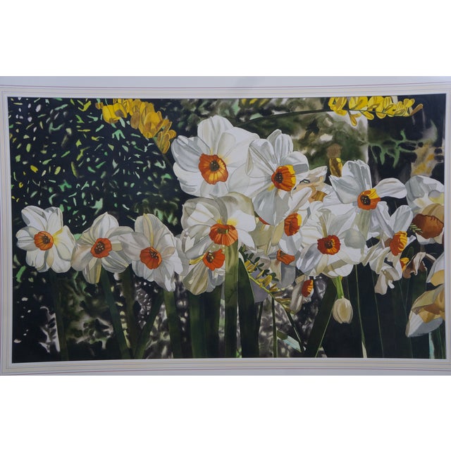 Paint Late 20th Century Deborah Rubin "Daffodils" Botanical Still Life Watercolor Painting Framed 50" For Sale - Image 7 of 10