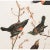 John James Audubon 1966 Vintage Farmhouse Cottage Print "Red-Winged Starling" After John James Audubon For Sale - Image 4 of 10