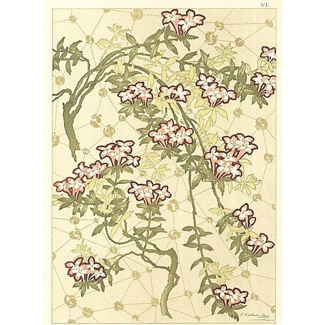 C1900 French Art Nouveau Botanical Design Chromolithograph, Beech Creeper by Habert Dys For Sale - Image 4 of 4
