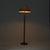 Mid-Century Wooden Floor Lamp from Aneta Växjö, 1960s For Sale - Image 14 of 18