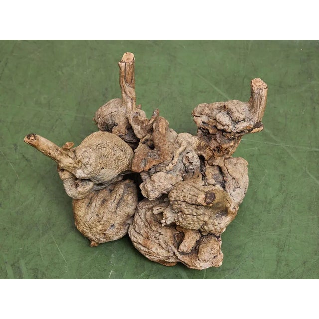 Mid 20th Century Petrified 1960s Brown Wood Coffee Table Glass Top For Sale - Image 5 of 11