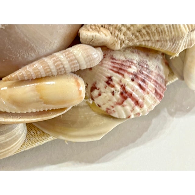 Vintage Coastal Oval Shell Encrusted Mirror For Sale - Image 6 of 14