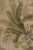 Antique French Aubusson Rug With Botanical Green Floral Design - Rug & Kilim For Sale In New York - Image 6 of 10
