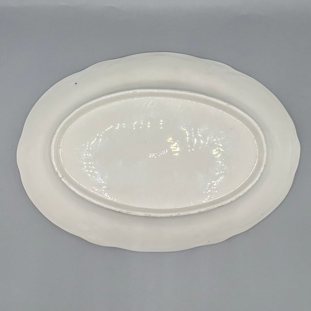 Large Antique Oval Porcelain Plate with Hand-Painted Flowers and Insects from Nantgarw England, 1810s For Sale - Image 6 of 13