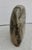 Picture Jasper boulder, grey and rusty brown inclusions which suggest mountains, clouds, trees, and forested hills. Very...