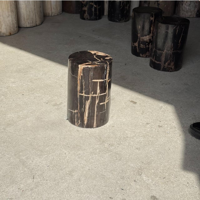 Side Table in Black Petrified Wood with Beige Stripes and Sides For Sale - Image 13 of 18