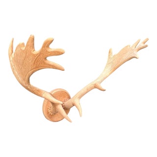 Vintage Carved Wood Antler Wall Mount For Sale