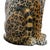 Black Mid 20th Century Life Size Italian Terracotta Painted Leopard For Sale - Image 8 of 11