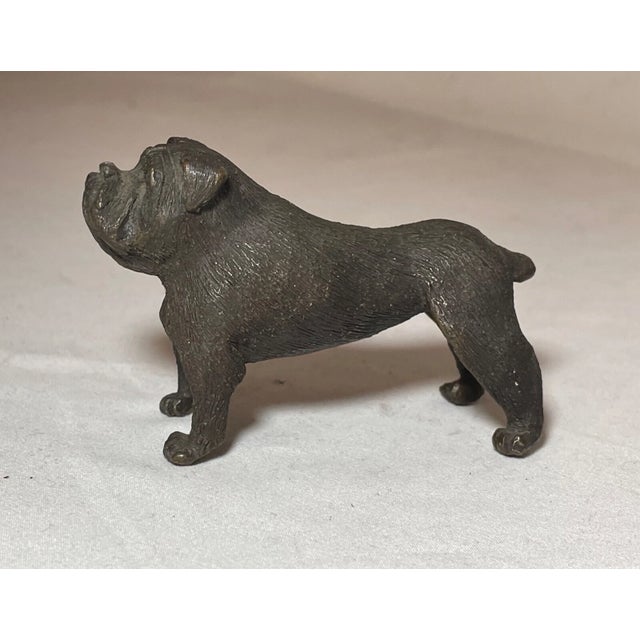 Metal Antique Austrian Miniature Bronze Dog Bulldog Statue Figure Sculture Realistic For Sale - Image 7 of 12