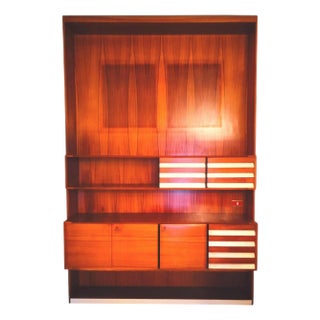 Sky Terra Library in the Style of Osvaldo Borsani, 1960s For Sale