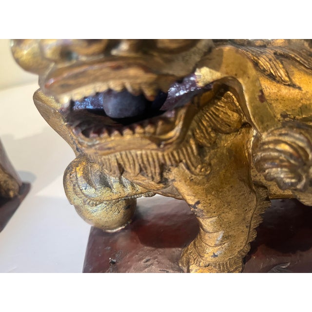 Pair Late 19th Century Chinese Carved Giltwood Male & Female Guardian Foo Dogs With Cub Attached to Female For Sale - Image 6 of 12