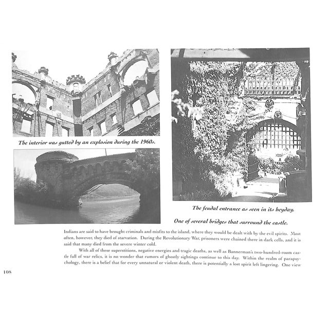 Paper "Phantoms of the Hudson Valley" 1995 Randall, Monica For Sale - Image 7 of 12