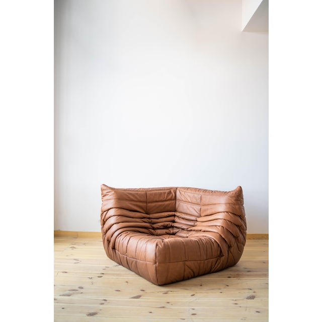 Brown Leather Togo Living Room Set by Michel Ducaroy for Ligne Roset, Set of 5 For Sale - Image 14 of 18
