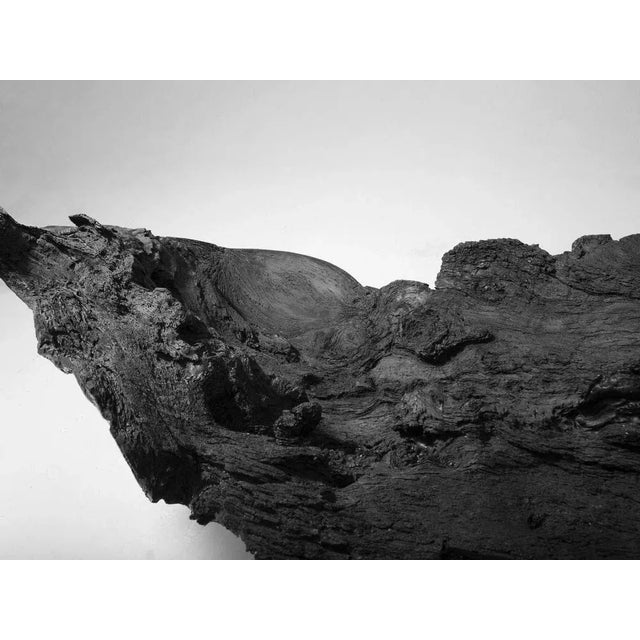 Olive Bioma Armchair by Imperfettolab For Sale - Image 8 of 10