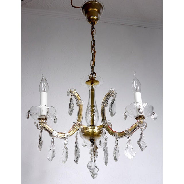 Antique Maria Theresia Chandelier from Palwa, 1950s For Sale - Image 10 of 13