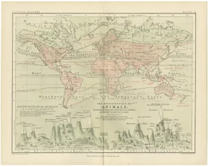Distribution Map of Fauna by Climate Zones by A. K. Johnston, 1852