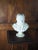 Vintage Arnaldo Giannelli Victor Hugo Alabaster Bust For Sale - Image 6 of 9