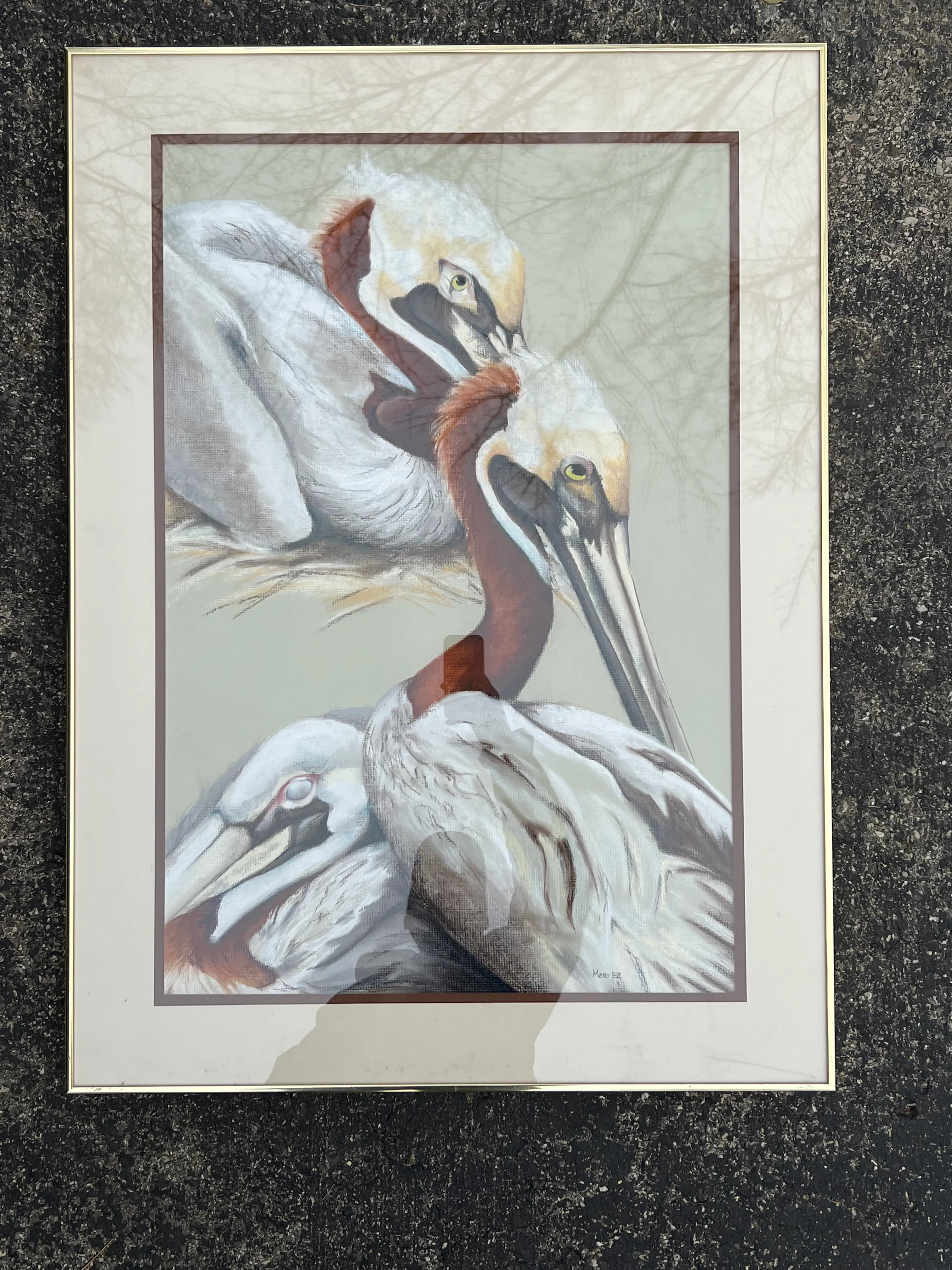 Original Framed Pelican Pastel Art | Chairish