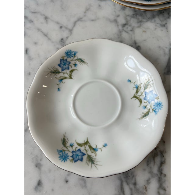 Rustic European Karolina Porcelain Tea Cups & Saucers - Made in Poland For Sale - Image 3 of 11