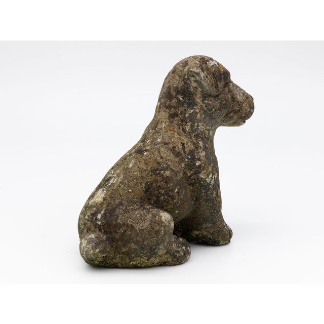 1960s Reconsitituted Stone Puppy or Dog Garden Ornament, England Mid 20th C. For Sale - Image 5 of 8