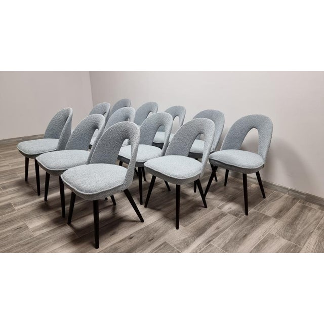 Dining Chairs by Antonin Suman, 1960s, Set of 12 For Sale - Image 11 of 15