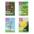 David Hockney, the Arrival of Spring by David Hockney, Four Royal Academy London Posters, For Sale