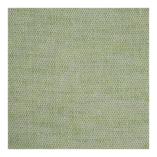 Schumacher Camarillo Weave Indoor/Outdoor Fabric in Leaf For Sale