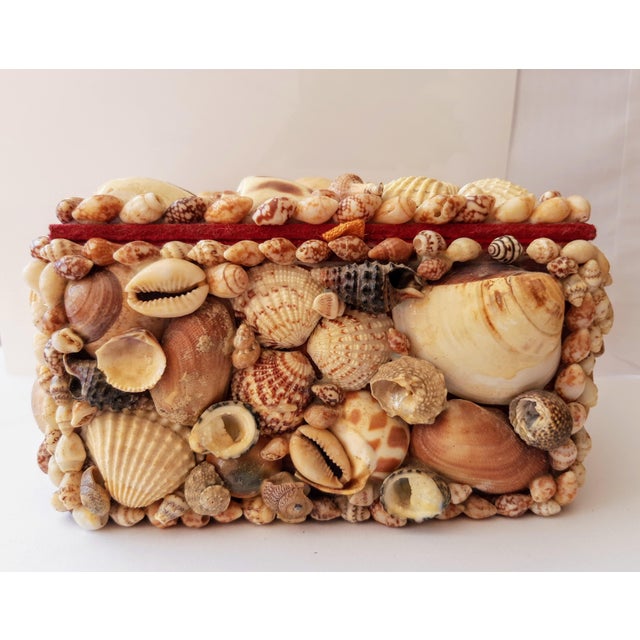 Vintage Coastal Encrusted Shell Box For Sale - Image 10 of 12