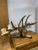 Vintage Traditional Scandinavian Reindeer Antler Candlestick