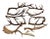 European Collection of Elk and Moose Antlers - Set of 9 For Sale