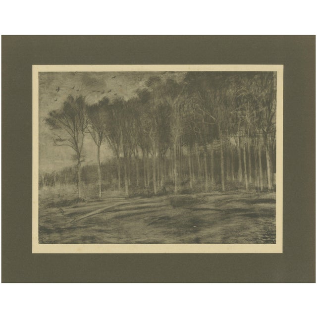 After Vincent Van Gogh, The Forest Edge, 1928, Portfolio Print For Sale