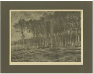 After Vincent Van Gogh, The Forest Edge, 1928, Portfolio Print