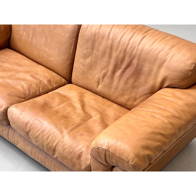 DS-44 Two-Seater Leather Sofa from de Sede, Switzerland, 1970s For Sale - Image 15 of 16