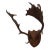 j.h. Armer Mounted English Antlers For Sale