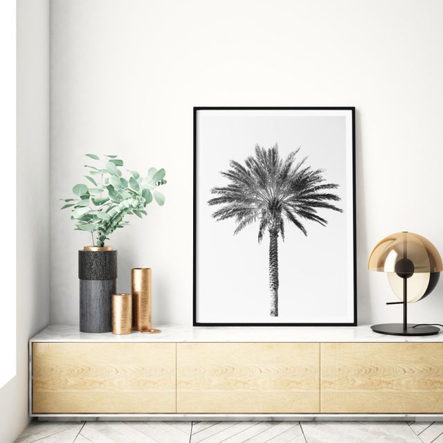 Not Yet Made - Made To Order Contemporary Minimalist Black and White 'Palm Tree' Art Print, Large 40 X 60" Fine Art Photography Print, Tropical Coastal Artwork For Sale - Image 5 of 8
