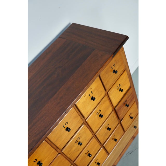 Large Mid-20th Century Dutch Industrial Beech Apothecary Cabinet For Sale - Image 10 of 18