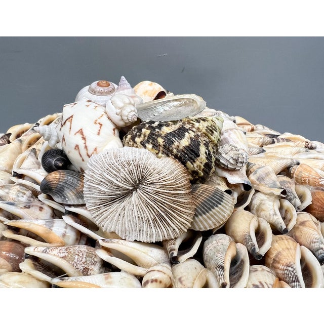 Late 20th Century Vintage Coastal Seashell Covered Shell Encrusted Box – Coastal / Tropical For Sale - Image 5 of 18