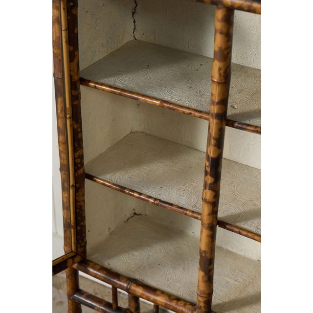 19th Century Tortoise Bamboo 2-Door Glass Front Cabinet For Sale - Image 9 of 14