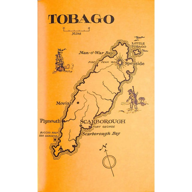 "Fourteen Islands in the Sun" 1968 Graves, Charles For Sale In New York - Image 6 of 11